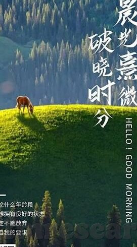 av日韩麻豆网址-探索AV日韩麻豆，艺人与作品的双重魅力