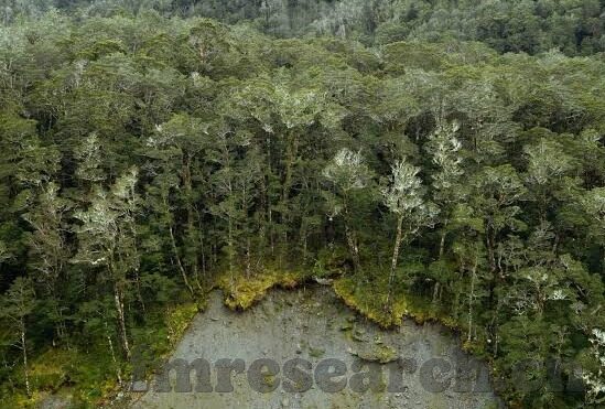 草莓视频丝瓜app免费麻豆-写SIN享受美好时刻，草莓视频、丝瓜APP与免费麻豆的​‍引​诱力