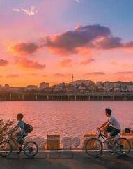 成人av日韩电影-成人娱乐的灰色地带，日韩AV电影的复杂视角