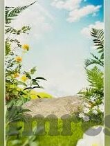 大象传媒视频app骚-探索大象传媒视频APP的多元魅力，从内容创新到用户体验的深度剖析